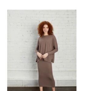 Elegant Brown Women's Skirt and top set